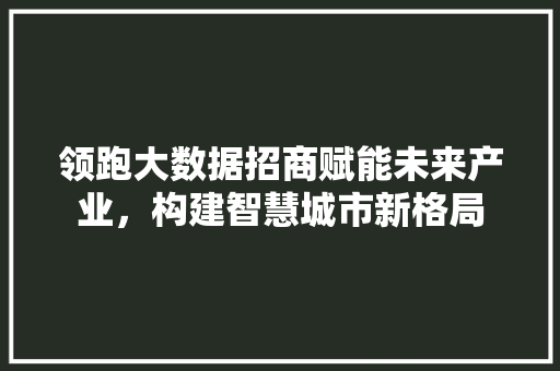 领跑大数据招商赋能未来产业，构建智慧城市新格局