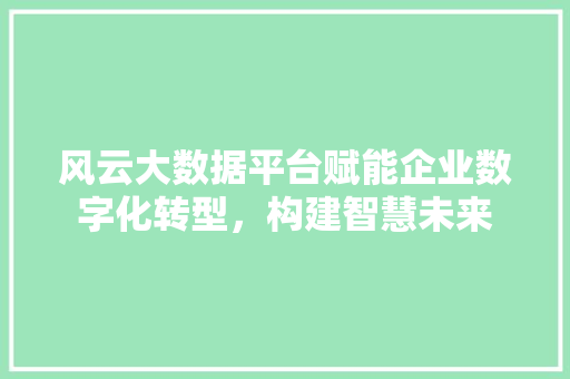 风云大数据平台赋能企业数字化转型，构建智慧未来