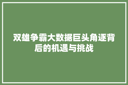 双雄争霸大数据巨头角逐背后的机遇与挑战