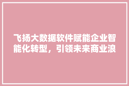 飞扬大数据软件赋能企业智能化转型，引领未来商业浪潮