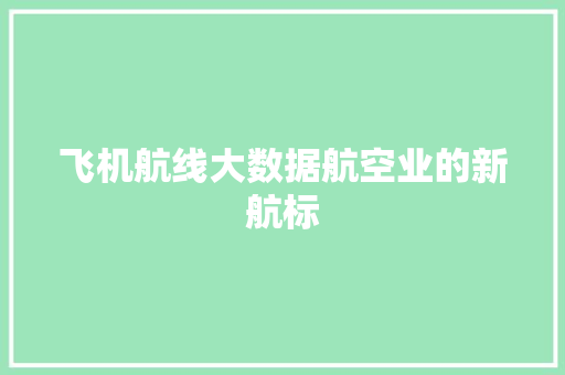 飞机航线大数据航空业的新航标
