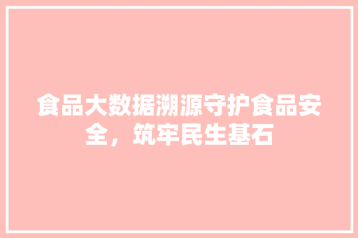 食品大数据溯源守护食品安全，筑牢民生基石