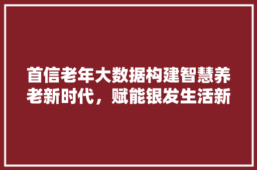 首信老年大数据构建智慧养老新时代，赋能银发生活新篇章