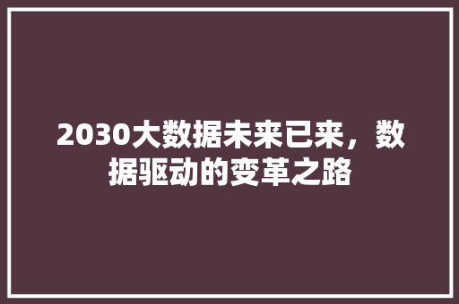 2030大数据未来已来，数据驱动的变革之路