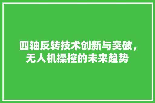 四轴反转技术创新与突破，无人机操控的未来趋势