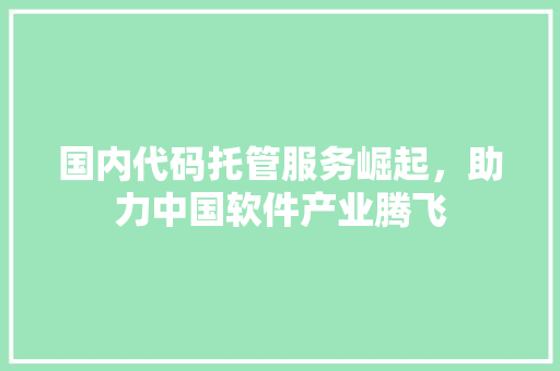 国内代码托管服务崛起，助力中国软件产业腾飞