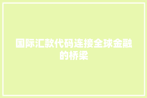 国际汇款代码连接全球金融的桥梁