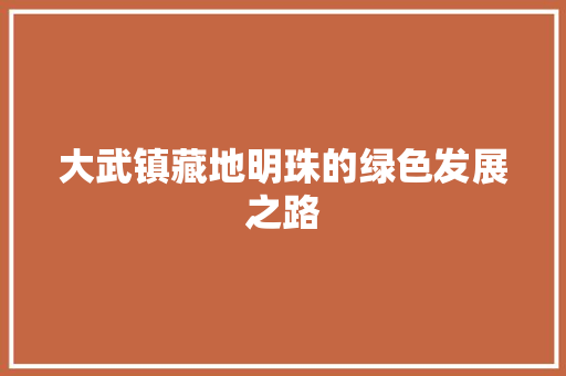大武镇藏地明珠的绿色发展之路