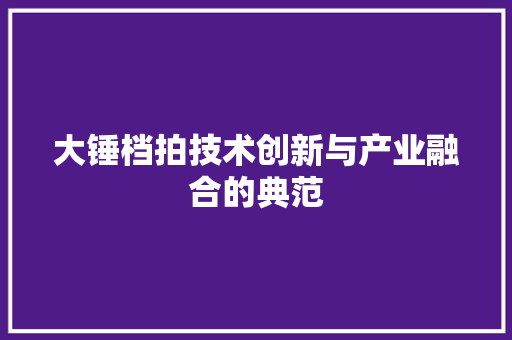 大锤档拍技术创新与产业融合的典范