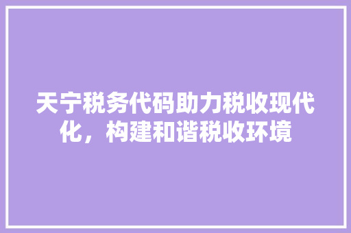 天宁税务代码助力税收现代化，构建和谐税收环境