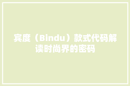 宾度（Bindu）款式代码解读时尚界的密码
