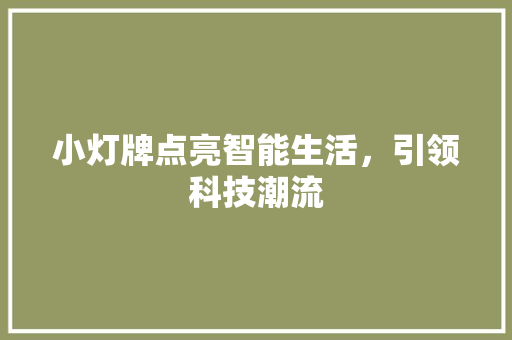 小灯牌点亮智能生活，引领科技潮流