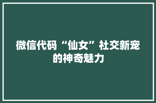 微信代码“仙女”社交新宠的神奇魅力