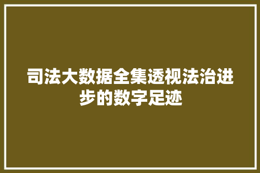 司法大数据全集透视法治进步的数字足迹  第1张