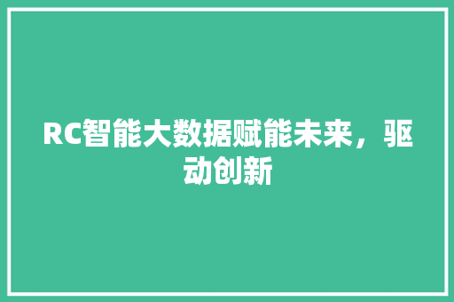 RC智能大数据赋能未来，驱动创新