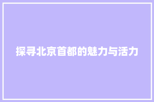 探寻北京首都的魅力与活力