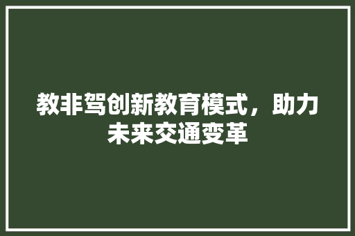 教非驾创新教育模式，助力未来交通变革