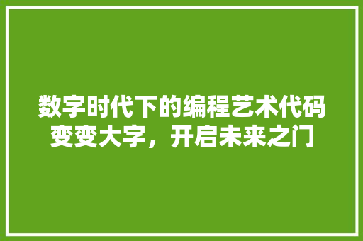 数字时代下的编程艺术代码变变大字，开启未来之门
