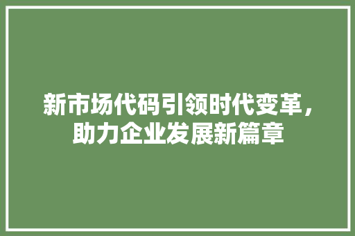 新市场代码引领时代变革，助力企业发展新篇章