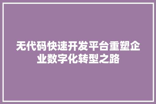 无代码快速开发平台重塑企业数字化转型之路