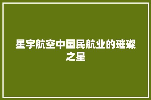 星宇航空中国民航业的璀璨之星