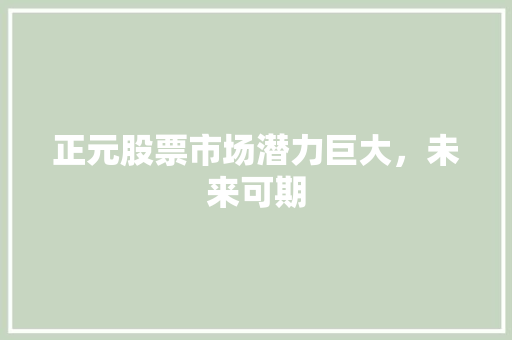正元股票市场潜力巨大，未来可期
