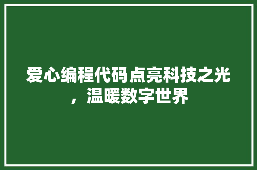爱心编程代码点亮科技之光，温暖数字世界