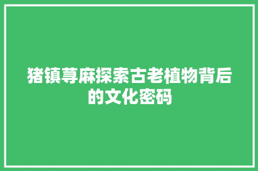 猪镇荨麻探索古老植物背后的文化密码