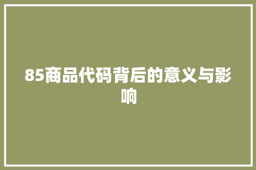 85商品代码背后的意义与影响