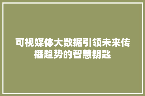 可视媒体大数据引领未来传播趋势的智慧钥匙
