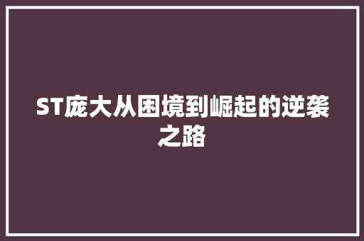 ST庞大从困境到崛起的逆袭之路