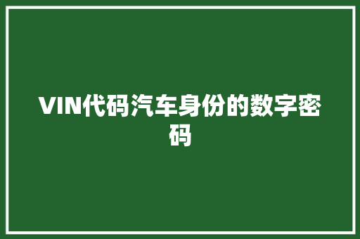 VIN代码汽车身份的数字密码