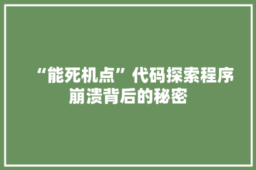 “能死机点”代码探索程序崩溃背后的秘密
