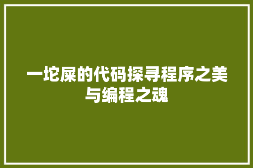 一坨屎的代码探寻程序之美与编程之魂