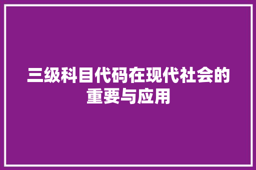 三级科目代码在现代社会的重要与应用