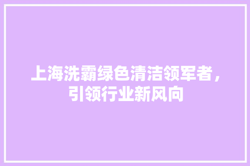 上海洗霸绿色清洁领军者，引领行业新风向  第1张