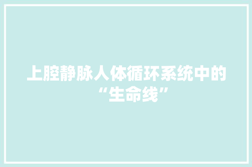 上腔静脉人体循环系统中的“生命线”