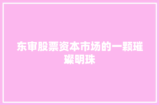 东审股票资本市场的一颗璀璨明珠  第1张