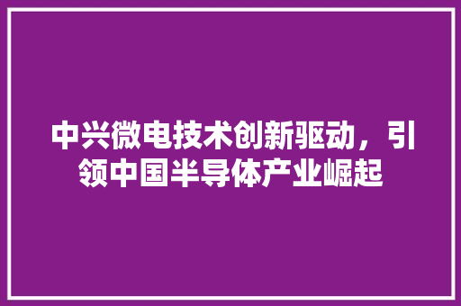 中兴微电技术创新驱动，引领中国半导体产业崛起