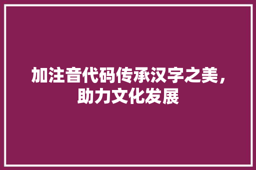 加注音代码传承汉字之美，助力文化发展
