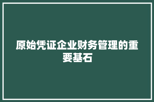 原始凭证企业财务管理的重要基石
