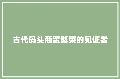 古代码头商贸繁荣的见证者