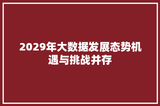 2029年大数据发展态势机遇与挑战并存