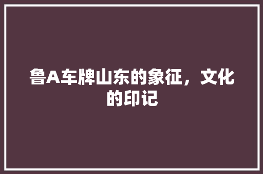 鲁A车牌山东的象征，文化的印记