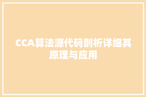 CCA算法源代码剖析详细其原理与应用