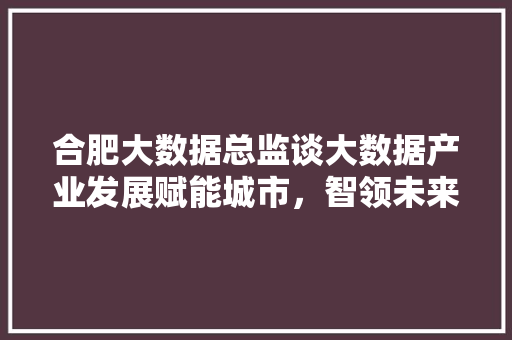 合肥大数据总监谈大数据产业发展赋能城市，智领未来  第1张