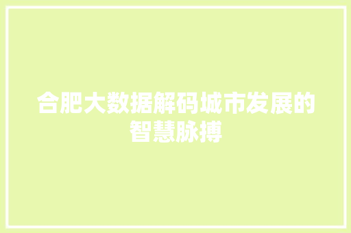 合肥大数据解码城市发展的智慧脉搏  第1张