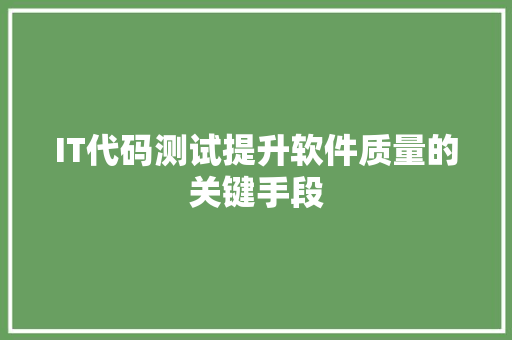 IT代码测试提升软件质量的关键手段