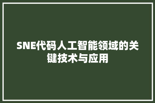 SNE代码人工智能领域的关键技术与应用