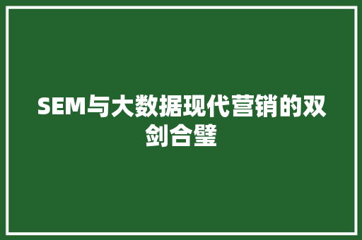 SEM与大数据现代营销的双剑合璧